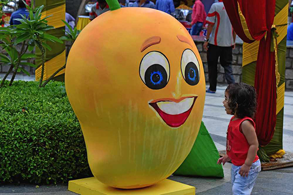 Mango Festival (3)