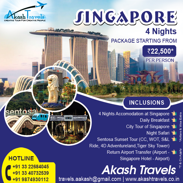 singapore tour package from chennai including flight