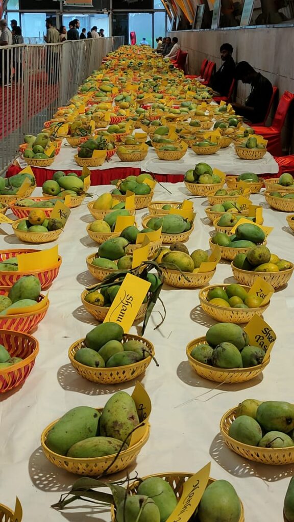 Mango Festival Creates Excitement with Mango Eating Competition by Delhi Tourism