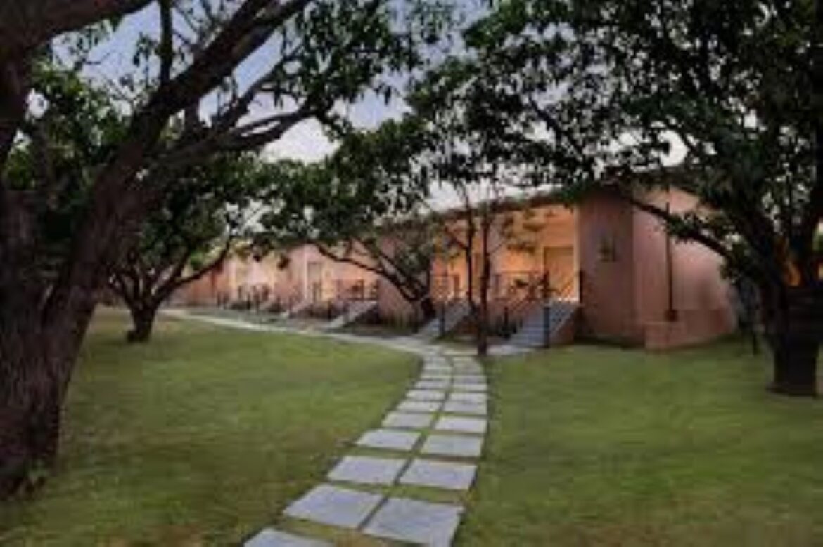 voco Jim Corbett, an IHG Hotel Announces the Appointment of Leadership Roles