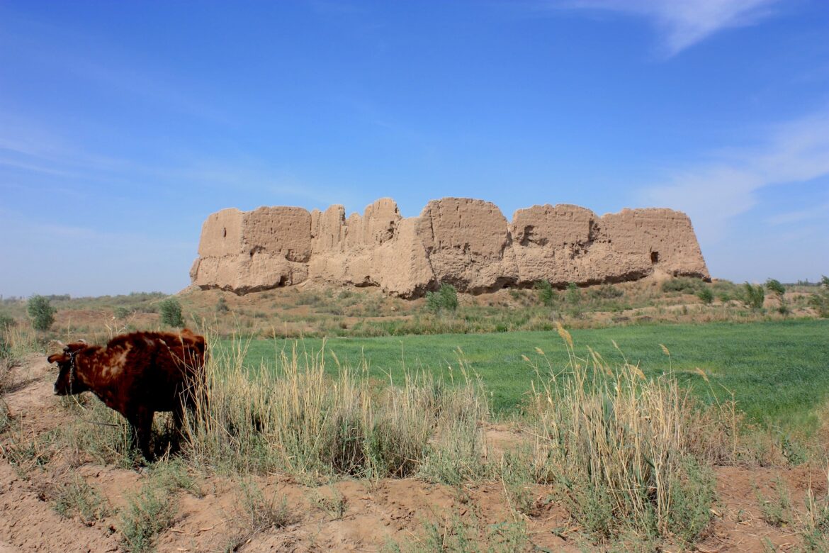 Uzbekistan Unveils 'Golden Valley' and 'Ring of Forts' Tourist Routes