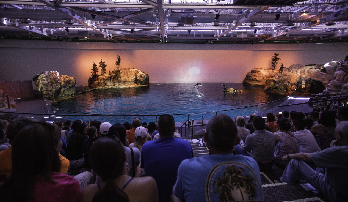 Road Trippin’ Through Illinois Along the Timeless Route 66 with Kids in Tow