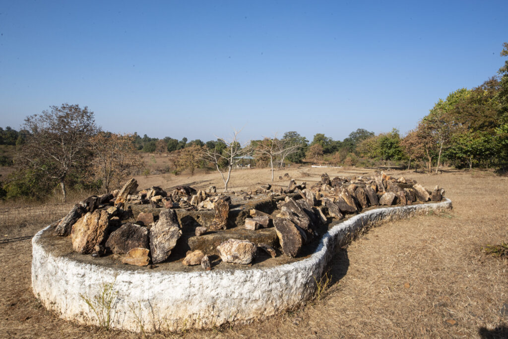 Ghughua Fossil National Park, Madhya Pradesh: A Timeless Window into Prehistoric Flora