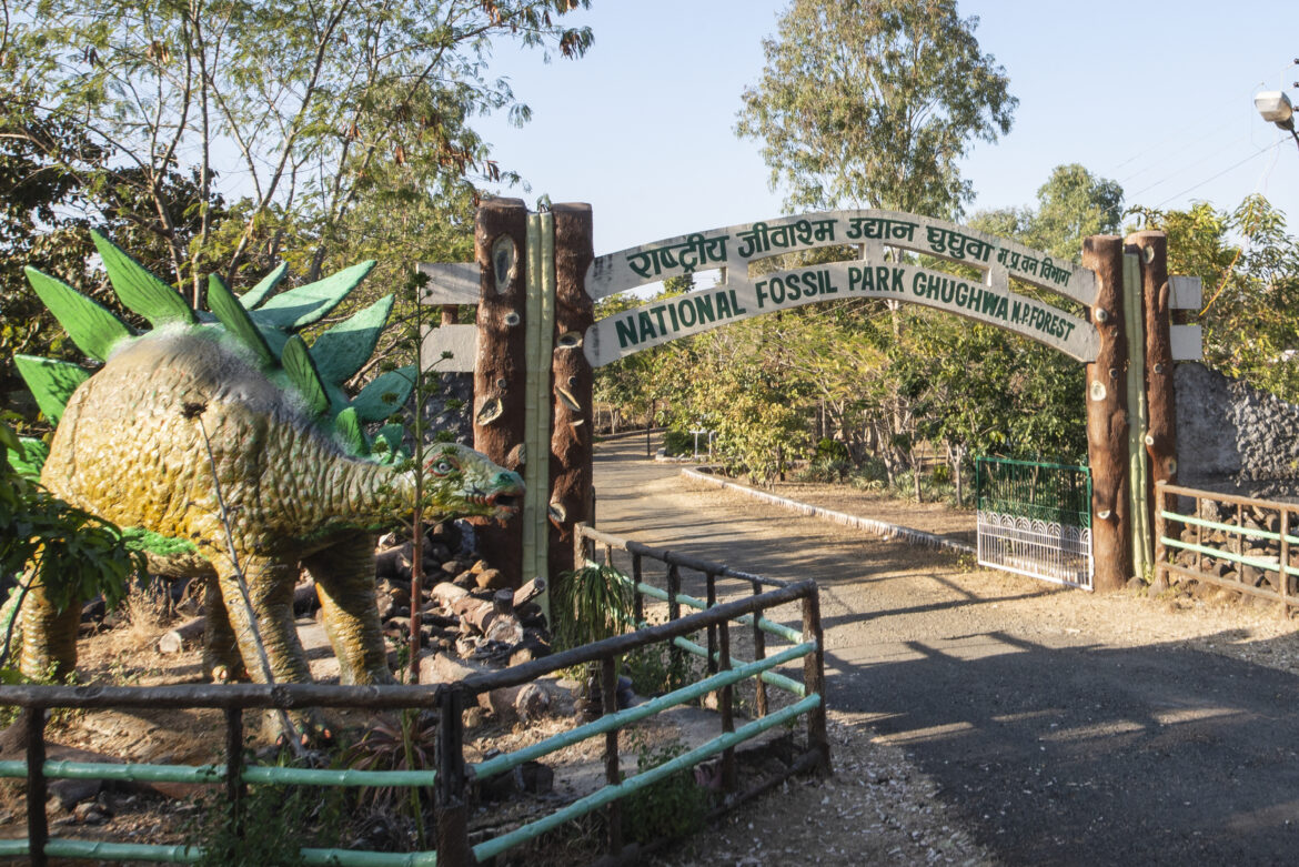 Ghughua Fossil National Park, Madhya Pradesh: A Timeless Window into Prehistoric Flora