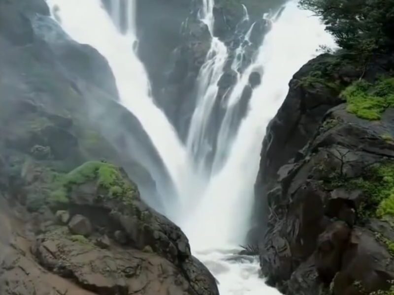 GTDC Announces Monsoon Trekking Expedition to Charavane on Sunday, July 13, 2025