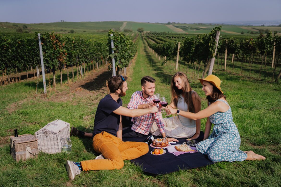 From Prague to the Vineyards: Where to Experience Czechia This Autumn