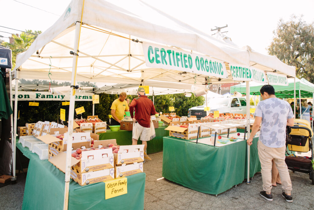 Relax and Unwind by the Sea: A Perfect 3-Day Escape to Santa Monica