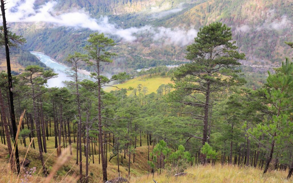 Experience the Vibrant Culture of Arunachal Pradesh in Delhi through ‘Festival Of Arunachal’