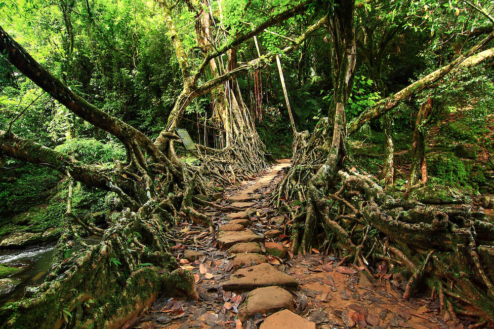 Home Ground: How Meghalaya Is Turning Local Families Into the Future of Tourism 6 Home Ground: How Meghalaya Is Turning Local Families Into the Future of Tourism