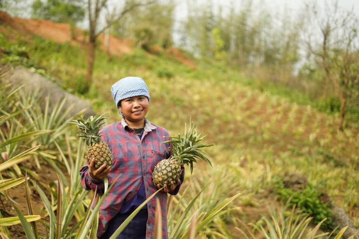 Delhi to witness Meghalaya's sweetest celebration as Meghalaya Pineapple Festival returns from July 10-12