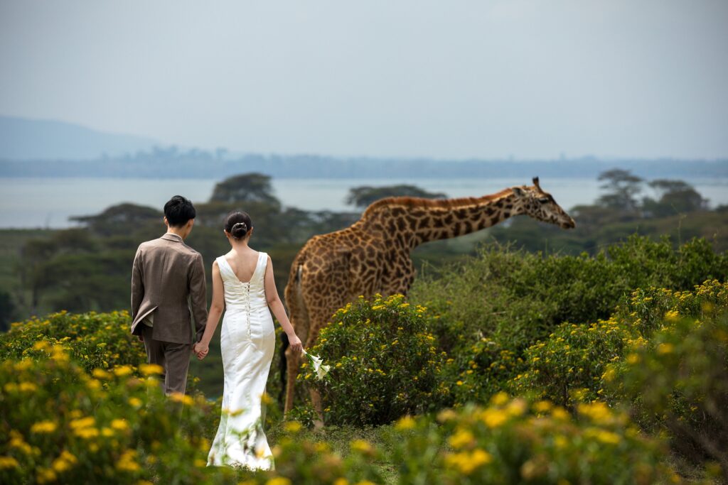 From Desert Landscapes to Island Romance: Destination Wedding Locations to Consider for 2026–27 7 From Desert Landscapes to Island Romance: Destination Wedding Locations to Consider for 2026–27